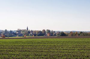 Blick vom Feld auf das Ökodorf Brodowin in Brandenburg